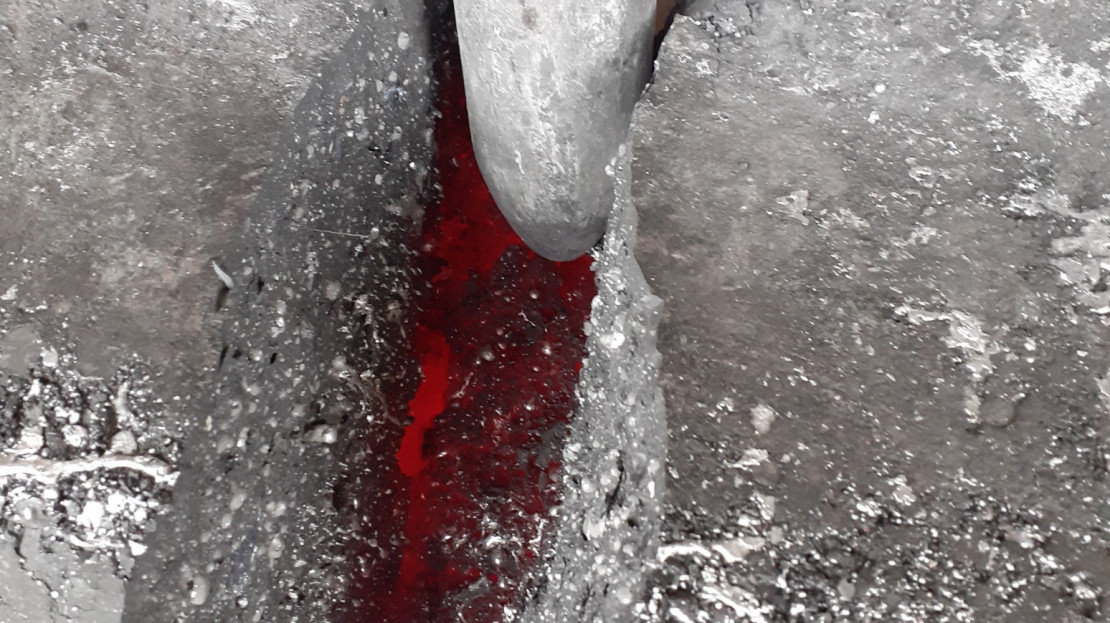 20220421_081645_resized