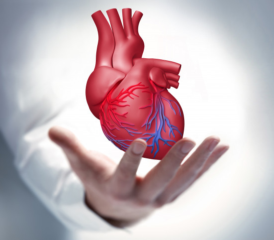 AdobeStock_143444598